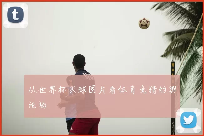 从世界杯买球图片看体育竞猜的舆论场