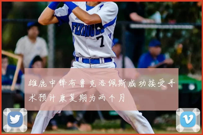 雄鹿中锋布鲁克洛佩斯成功接受手术预计康复期为两个月