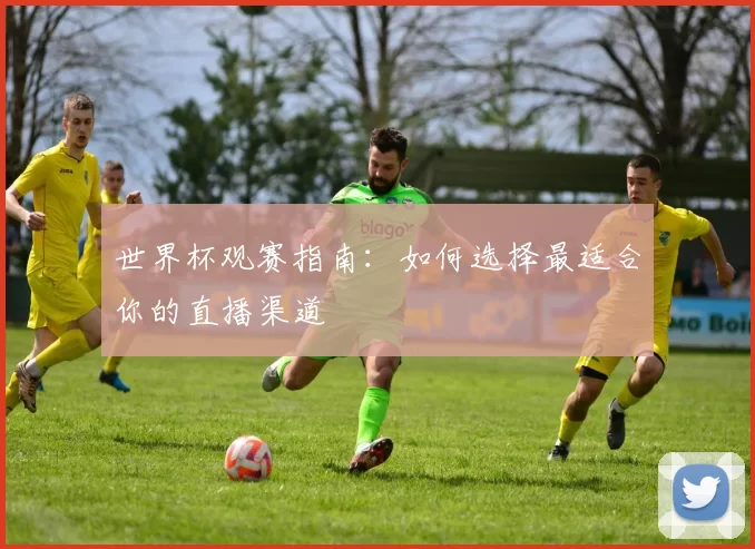 世界杯观赛指南:如何选择最适合你的直播渠道