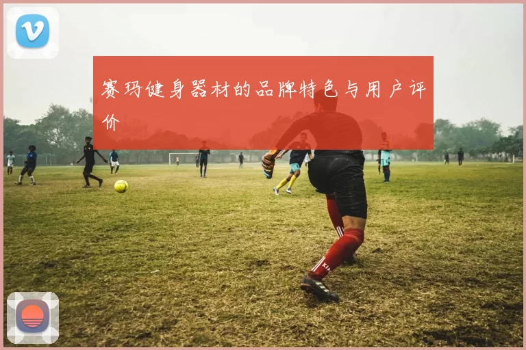 赛玛健身器材的品牌特色与用户评价
