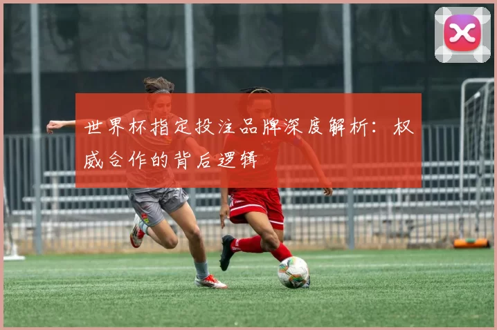 世界杯指定投注品牌深度解析：权威合作的背后逻辑