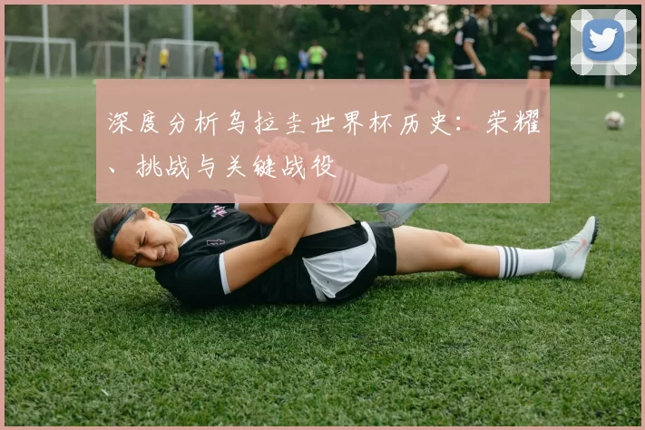深度分析乌拉圭世界杯历史：荣耀、挑战与关键战役