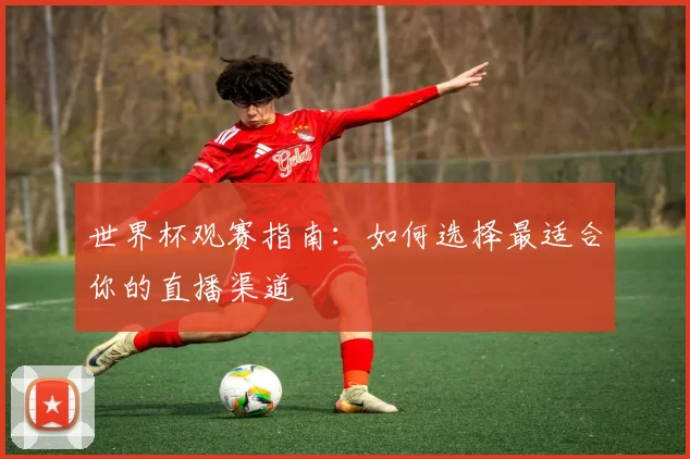 世界杯观赛指南:如何选择最适合你的直播渠道