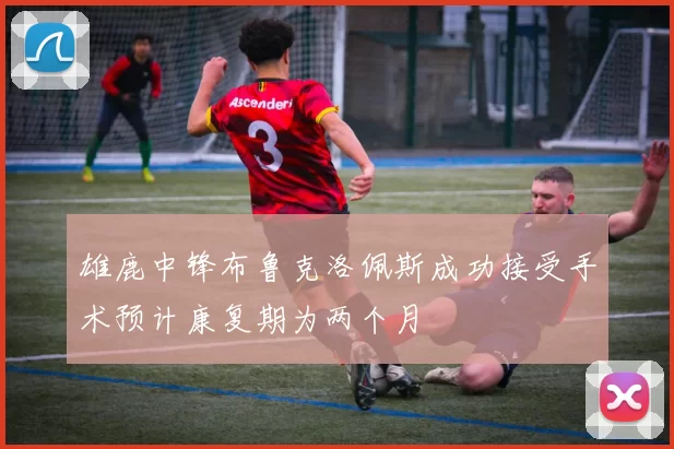 雄鹿中锋布鲁克洛佩斯成功接受手术预计康复期为两个月