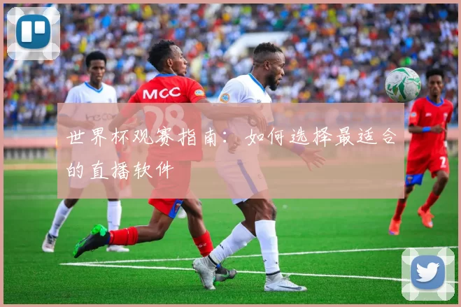 世界杯观赛指南:如何选择最适合的直播软件